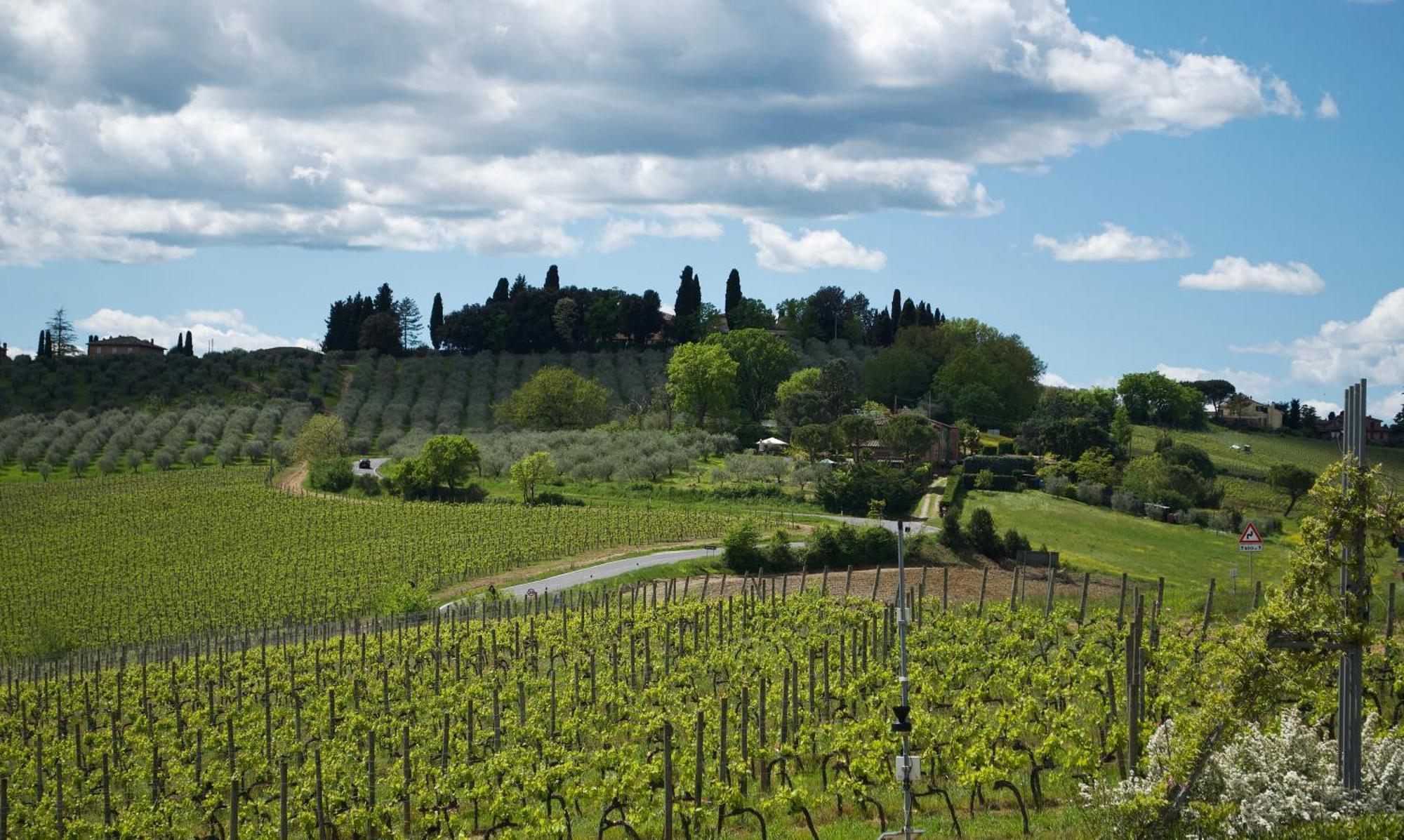 Villa Il Castagno Wine & Resort Siena Kültér fotó